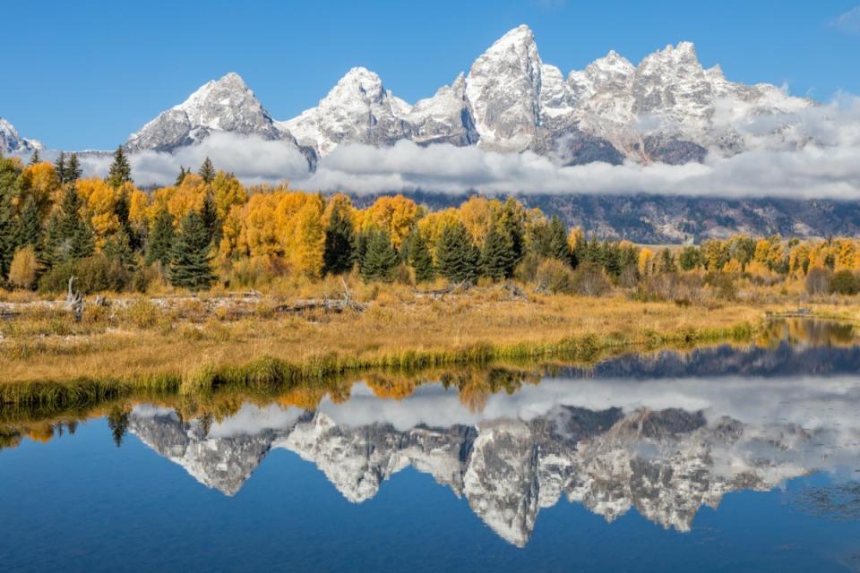 the reflection of glaciers and tress in a lake in Teton, Wyoming
