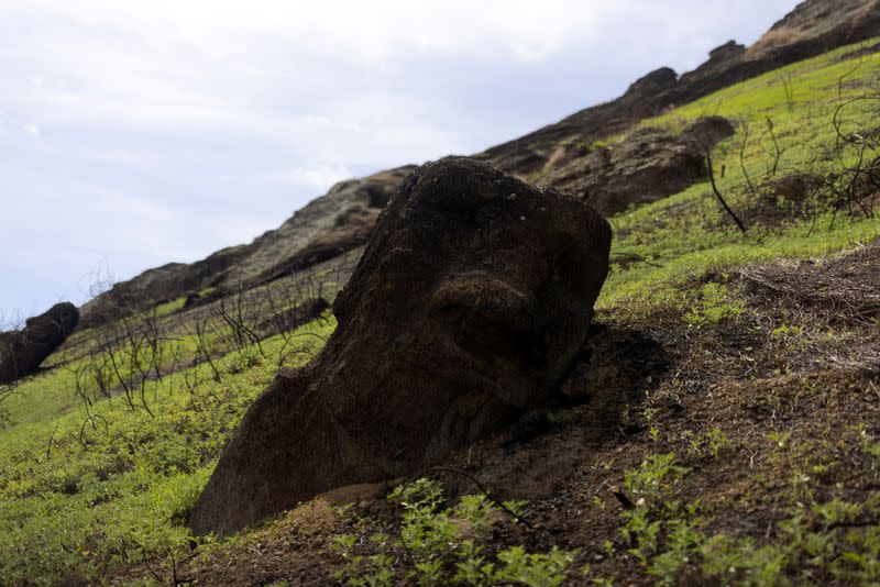 Un estatua Moai dañada por un incendio forestal en el volcán Rano Raraku en Isla de Pascua, Chile