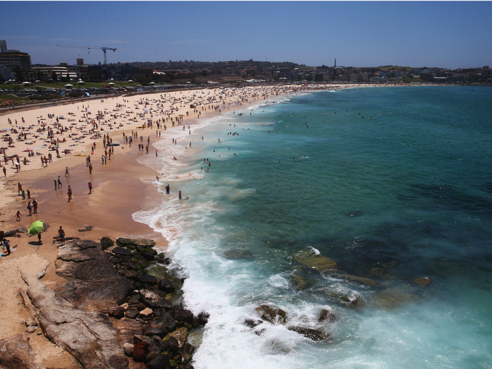 bondi sands sunscreen