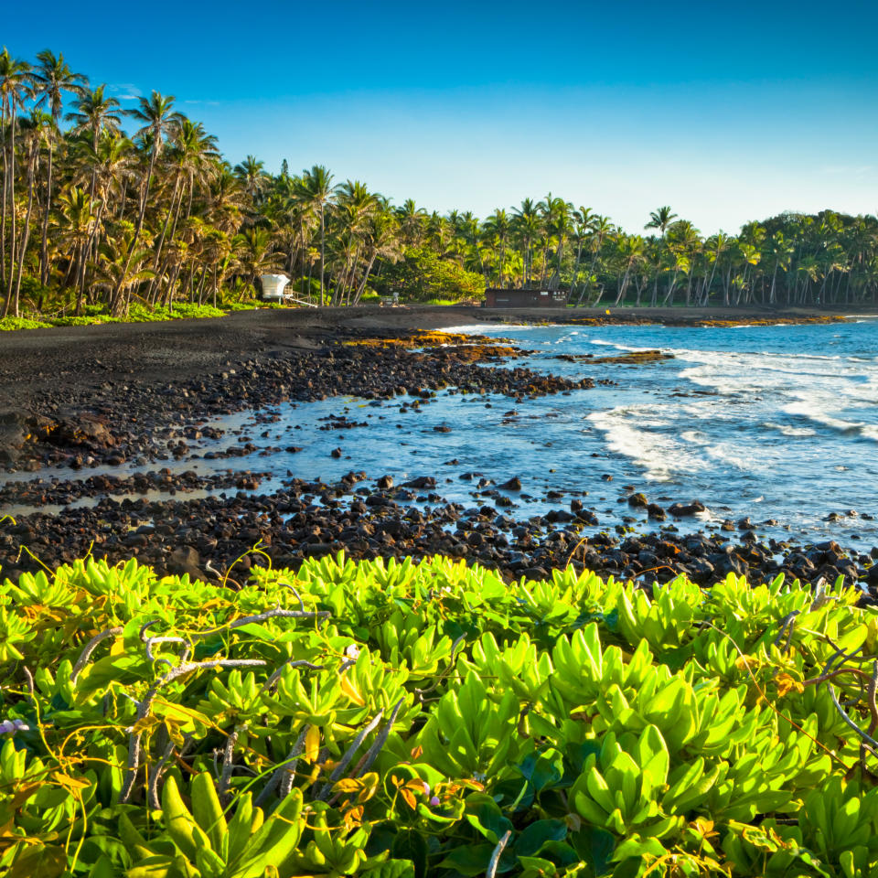 Punalu’u (Black Sand Beach), Hawaii, Hawaii