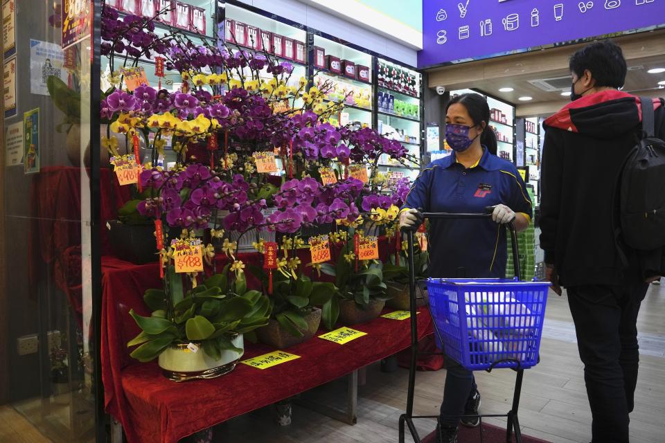 Pots of orchids for Chinese New Year are displayed for sale in a pharmacy store to celebrate the Lunar New Year in Hong Kong, Friday, Jan. 14, 2022. Hong Kong International Airport said Friday that it would ban passengers from over 150 countries and territories from transiting in the city for a month, as it sought to stem the transmission of the highly contagious omicron variant of the coronavirus. (AP Photo/Kin Cheung)