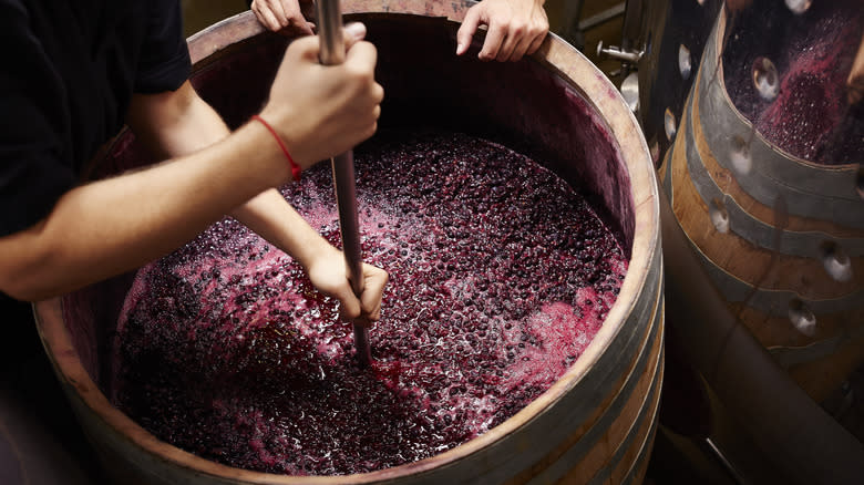Red wine grapes being worked in a barrel 