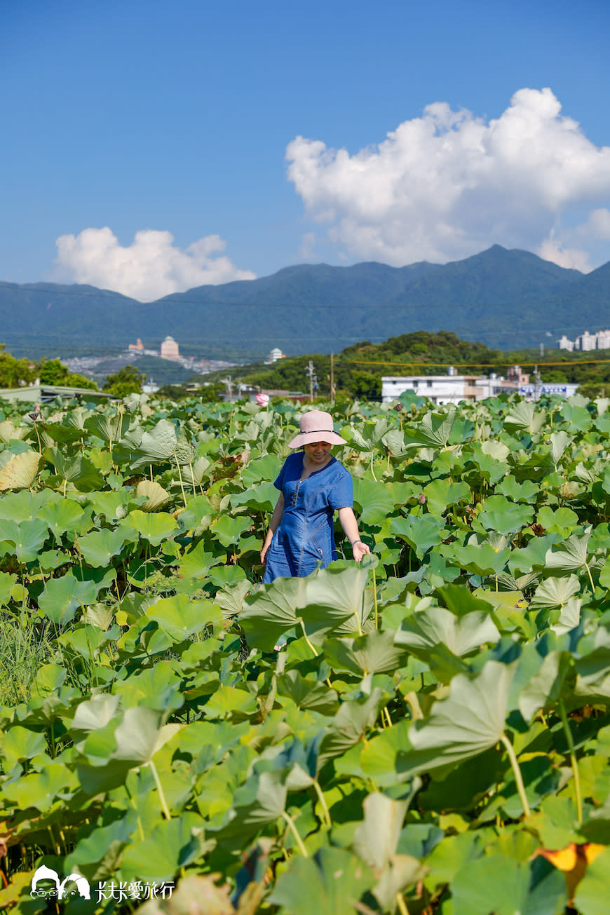 淡水八景微旅行｜淡水將捷金鬱金香酒店