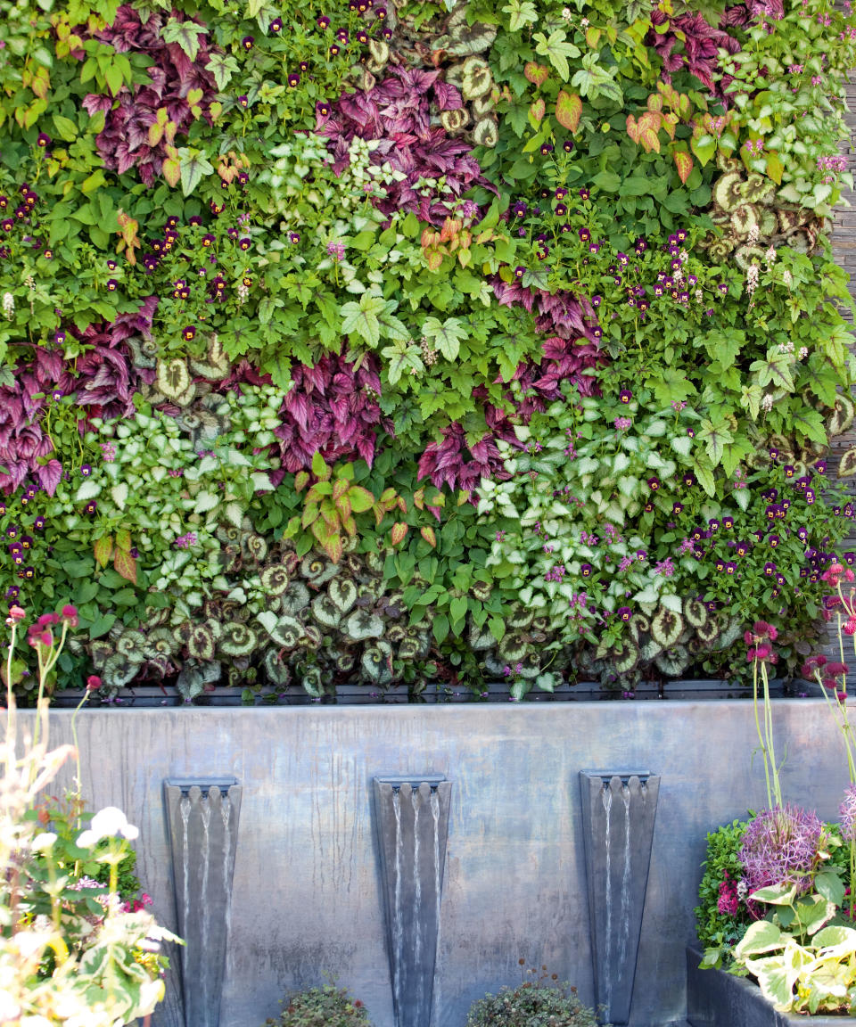 Use living walls to screen boundary walls