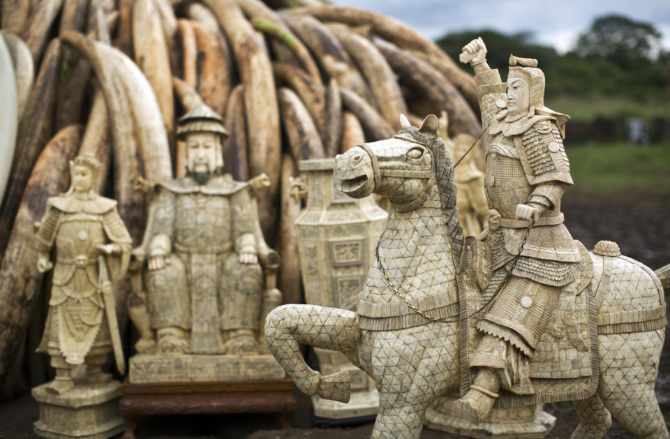 Ivory destroyed to help stop the poaching of elephants