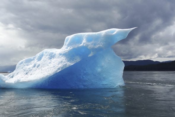 Arctic icebergs a 