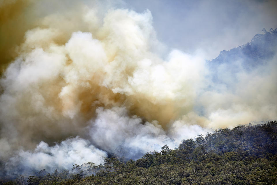Fires like this one in the Blue Mountains, NSW, have destroyed key habitat across Australia. Source: Getty