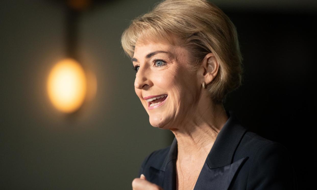 <span>The shadow attorney general, Michaelia Cash, said the detail of the hate speech law proposal would be ‘crucially important’.</span><span>Photograph: Mike Bowers/The Guardian</span>