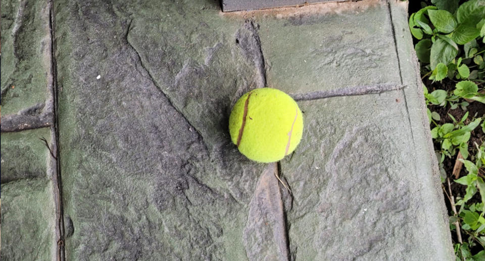 One of the tennis balls left out the front of a Cairns property. Source: Facebook