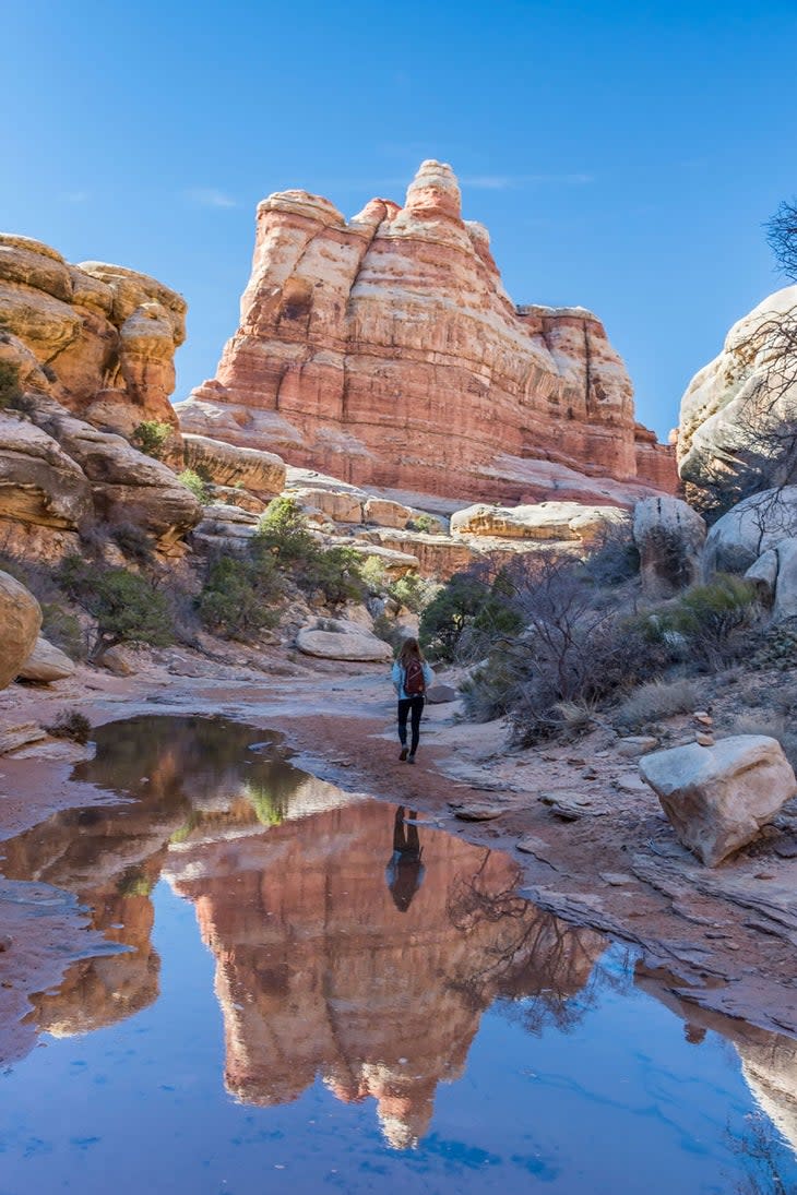 Elephant Canyon Reflection in Canyonlands National Park