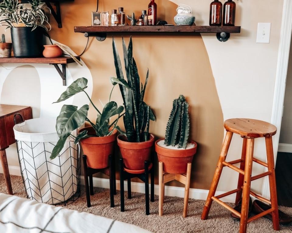 Your plant babies will get more sun exposure <i>and</i> you can give your bare bedroom corner a chic update. <br /><br /><a href="https://www.declutterd.com/pages/about-us" target="_blank" rel="nofollow noopener noreferrer" data-skimlinks-tracking="5929401|xid:fr1623169240967cce" data-vars-affiliate="www.declutterd.com" data-vars-href="https://www.declutterd.com/pages/about-us" data-vars-link-id="16640641" data-vars-price="" data-vars-product-id="21086423" data-vars-product-img="" data-vars-product-title="" data-vars-retailers="" data-ml-dynamic="true" data-ml-dynamic-type="sl" data-orig-url="https://www.declutterd.com/pages/about-us" data-ml-id="24">Declutterd</a> is a small business that sells quality plant accessories (pots, stands and more!) at affordable prices.<br /><br /><strong>Promising review:</strong> "Love that these are adjustable and take the guesswork out of trying to find the right size stand. I bought them in a pair and will be getting another pair soon. <strong>Super simple straight out of the box, and I love the light wood coloring too.</strong> Big fan of minimalism and the idea of decluttering, and was able to buy these used, which makes me extra happy." &mdash; <a href="https://www.declutterd.com/products/top-level-adjustable-stand" target="_blank" rel="nofollow noopener noreferrer" data-skimlinks-tracking="5929401|xid:fr1623169240967age" data-vars-affiliate="www.declutterd.com" data-vars-href="https://www.declutterd.com/products/top-level-adjustable-stand" data-vars-link-id="16640644" data-vars-price="" data-vars-product-id="21086383" data-vars-product-img="http://cdn.shopify.com/s/files/1/0074/1923/2365/products/plants_stands_1120-98_1200x1200.jpg?v=1605904601" data-vars-product-title="Top Level Adjustable Plant Stand - 8&quot;-12&quot;" data-vars-retailers="" data-ml-dynamic="true" data-ml-dynamic-type="sl" data-orig-url="https://www.declutterd.com/products/top-level-adjustable-stand" data-ml-id="23">Stephanie D. Shaw</a><br /><br /><a href="https://www.declutterd.com/products/top-level-adjustable-stand" target="_blank" rel="noopener noreferrer"><strong>Get it from Declutterd for $29 (available in four colors).</strong></a>
