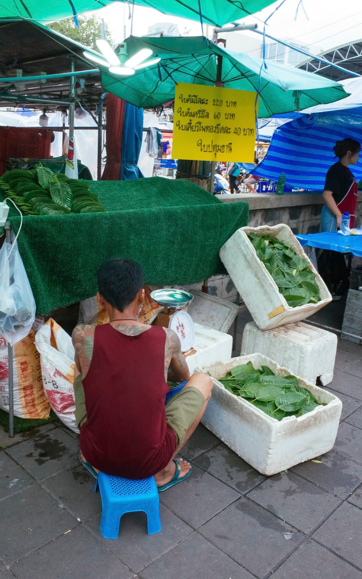 There are concerns about travellers taking kratom without understanding the risks