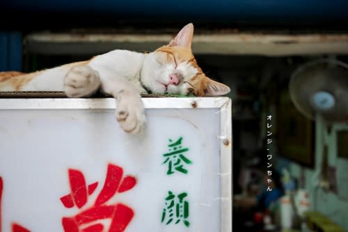 【金門離島食記】金城 無名自助老冰店 民權路│金城鎮：在復古日常老冰店遇見萌貓～離島的悠閒夏日漫遊～消暑划算的35元自助冰～二十種配料隨你開心選！