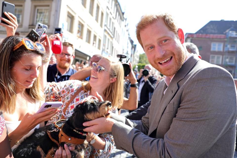 DUSSELDORF, GERMANY - SEPTEMBER 06: Prince Harry, Duke of Sussex is greeted by well-wishers and pets a dog outside the town hall during the Invictus Games Dusseldorf 2023 - One Year To Go events, on September 06, 2022 in Dusseldorf, Germany. The Invictus Games is an international multi-sport event first held in 2014, for wounded, injured and sick servicemen and women, both serving and veterans. The Games were founded by Prince Harry, Duke of Sussex who's inspiration came from his visit to the Warrior Games in the United States, where he witnessed the ability of sport to help both psychologically and physically. (Photo by Chris Jackson/Getty Images for Invictus Games Dusseldorf 2023)