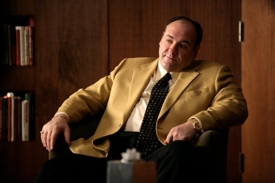 Tony Soprano in therapy