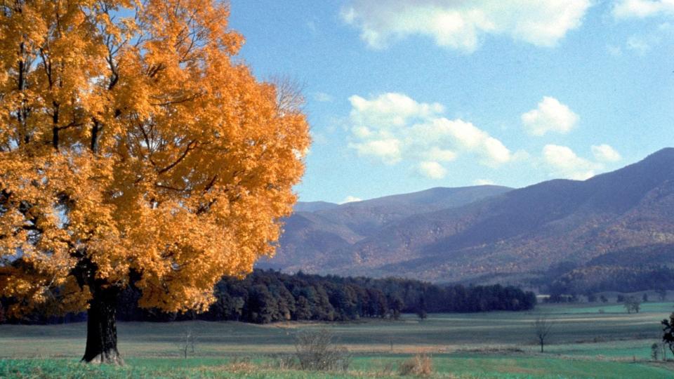 Great Smoky Mountains National Park stretches from North Carolina to Tennessee.