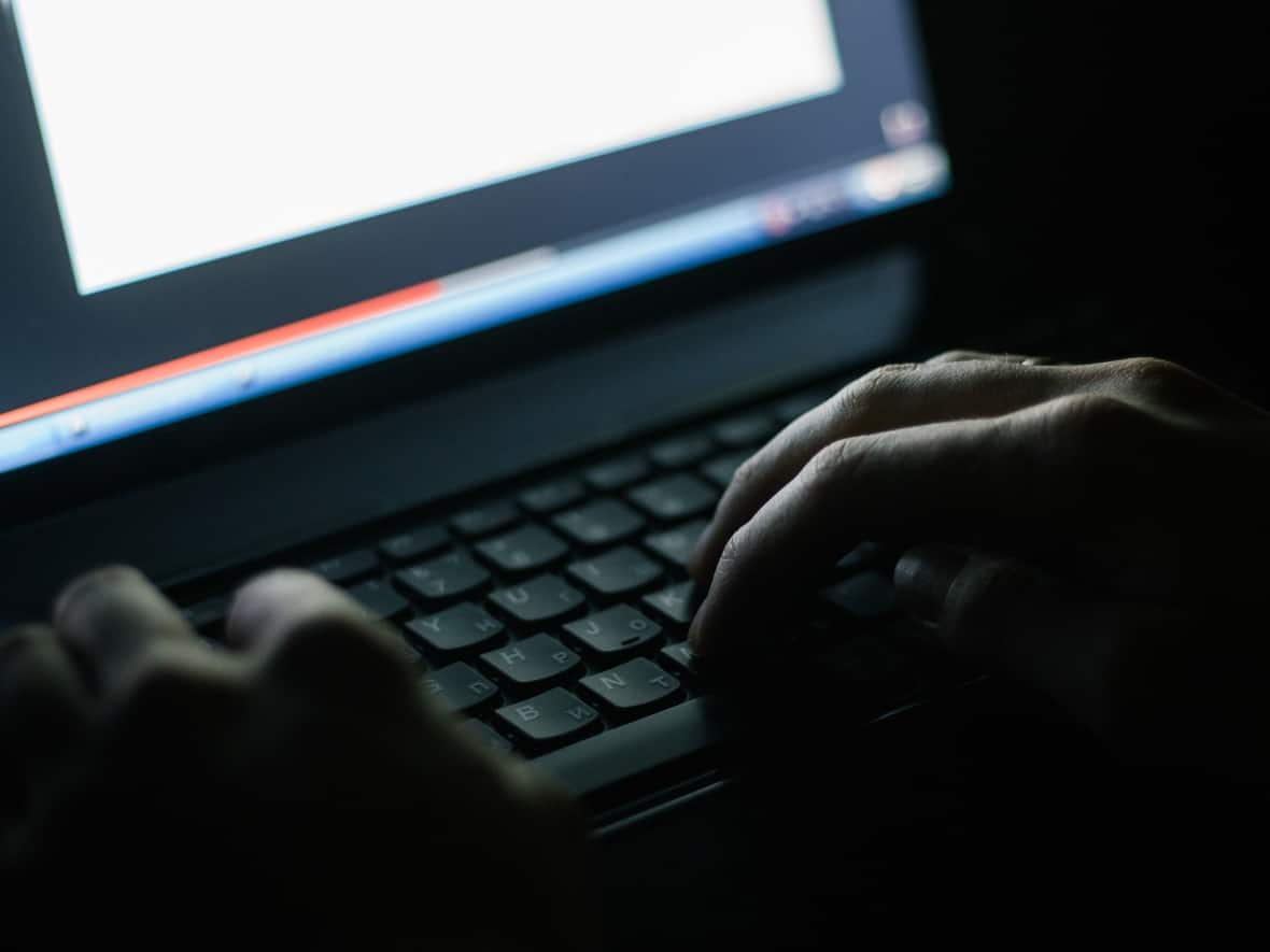 Sébastien Vachon-Desjardins — who the U.S. Department of Justice says used to work for the Canadian government — was arrested by RCMP in January last year on allegations he was a key figure in an international ransomware ring known as NetWalker. (Dmytro Tyshchenko/Shutterstock - image credit)