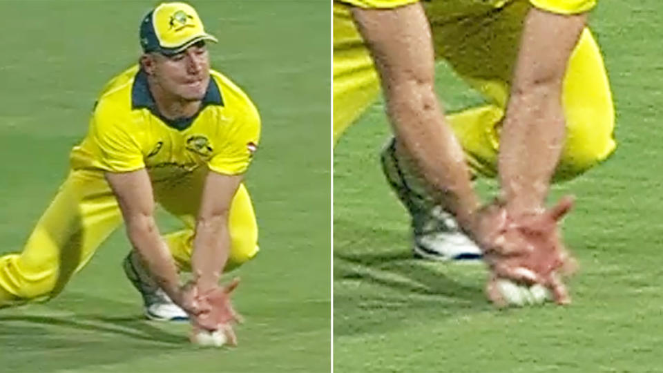 Marcus Stoinis claimed a controversial catch. Image: Fox Sports