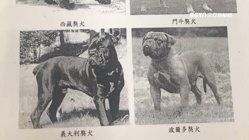 農委會列出有攻擊性的犬隻。