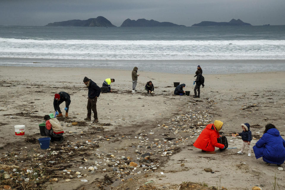 Volunteers collect plastic pellets from a beach in Nigran, Pontevedra, Spain, Tuesday, Jan. 9, 2024. Spanish state prosecutors have opened an investigation into countless tiny plastic pellets washing up on the country's northwest coastline after they were spilled from a transport ship. (AP Photo/Lalo R. Villar)