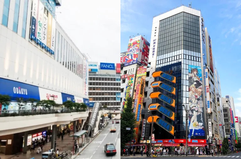 &#x004f4d;&#x0065bc;&#x0065b0;&#x005bbf;&#x008eca;&#x007ad9;&#x00897f;&#x0053e3;&#x007684;&#x00300a;&#x005c0f;&#x007530;&#x006025;&#x00767e;&#x008ca8;&#x00ff08;ODAKYU&#x00ff09;&#x00300b;&#x0065b0;&#x005bbf;&#x00672c;&#x009928;&#x005c07;&#x006574;&#x0068df;&#x0062c6;&#x009664;&#x003002;&#x0053d7;&#x0089c0;&#x005149;&#x005ba2;&#x0071b1;&#x00611b;&#x007684;&#x0079cb;&#x008449;&#x00539f;&#x00ff0c;&#x004ee5;&#x00904a;&#x006232;&#x006a5f;&#x0053f0;&#x008207;&#x00593e;&#x005a03;&#x005a03;&#x0070ba;&#x004e3b;&#x007684;&#x00300a;SEGA&#x0079cb;&#x008449;&#x00539f;2&#x00865f;&#x005e97;&#x00300b;&#x004e5f;&#x005df2;&#x007d50;&#x00675f;&#x0071df;&#x00696d;&#x003002;&#x00ff08;&#x005716;&#x007247;&#x004f86;&#x006e90;photoAC&#x00ff0f;&#x0063a8;&#x007279;@SEGA_OFFICIAL&#x00ff09;