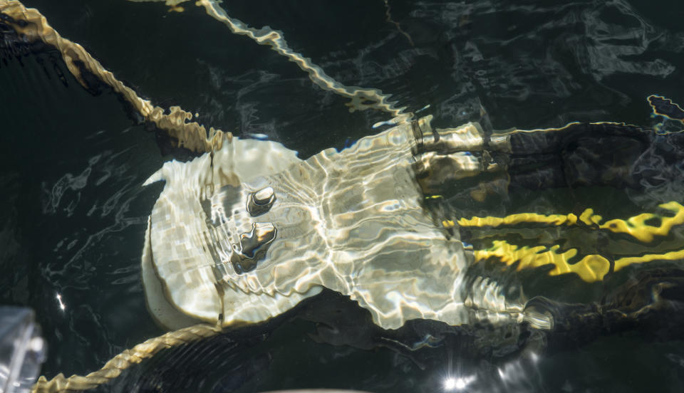 Underwater stretching cables hold the floating solar panels&nbsp;in place.