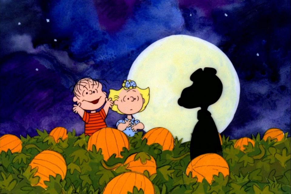 IT'S THE GREAT PUMPKIN, CHARLIE BROWN, Linus Van Pelt, Sally Brown, Snoopy, first aired in 1966