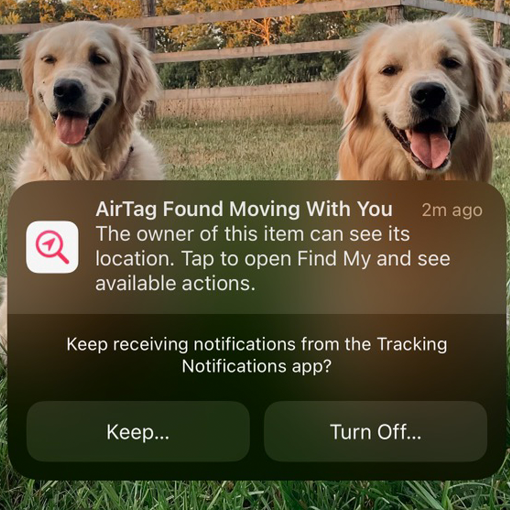 Apple sends you notifications when an AirTag that is not yours appears to be following you. (Courtesy Camryn Rabideau)