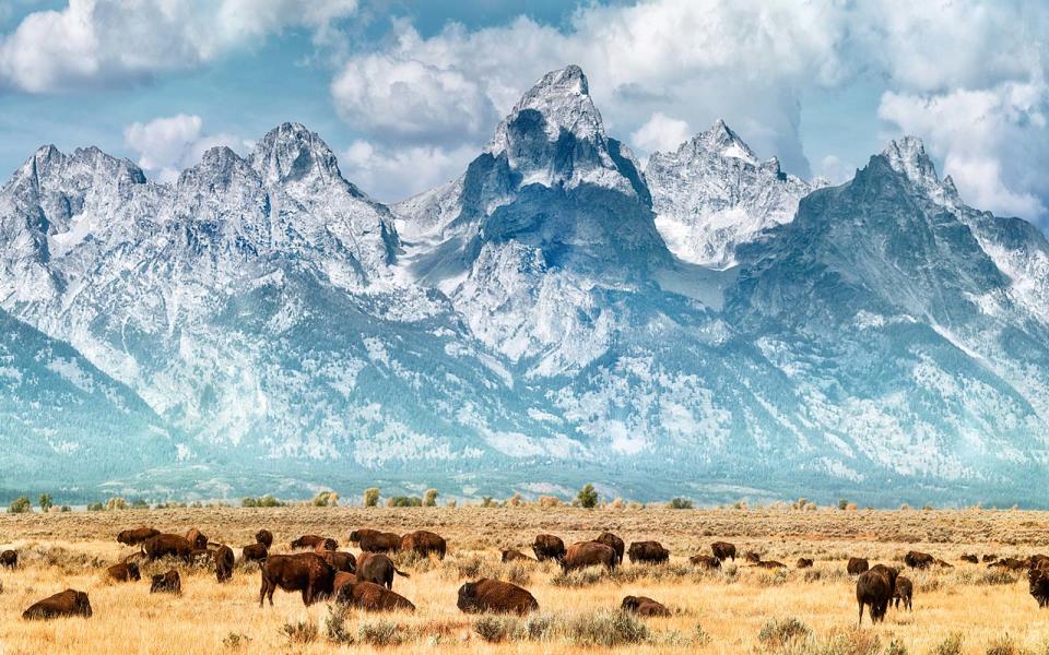 Jackson Hole, Wyoming