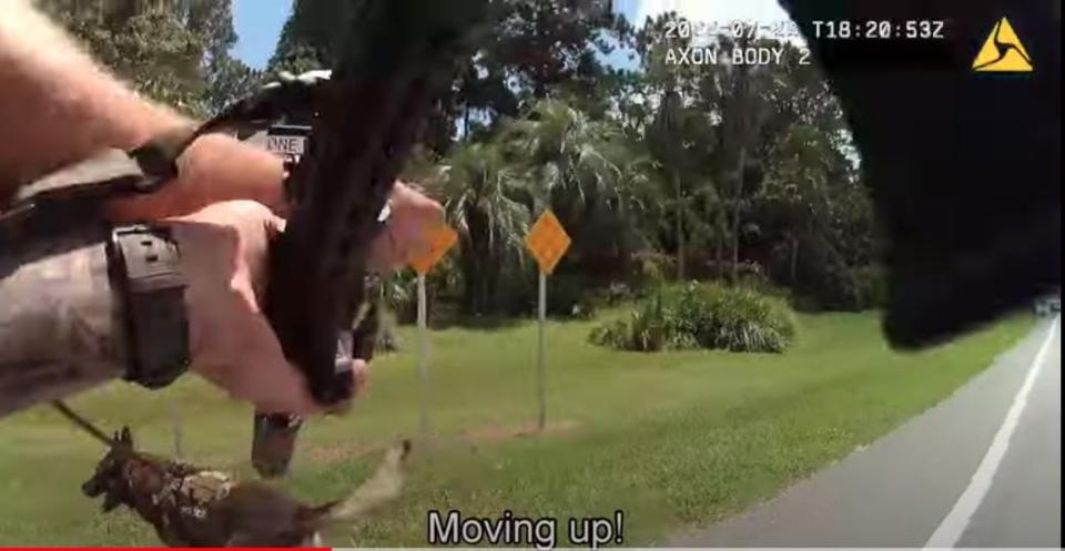 Guns drawn, police K-9 Huk (lower left) and Jacksonville officers approach the crashed Dodge after it slammed into fencing outside the Jacksonville Zoo and Gardens. The July 22 image is from an officer's bodycam.