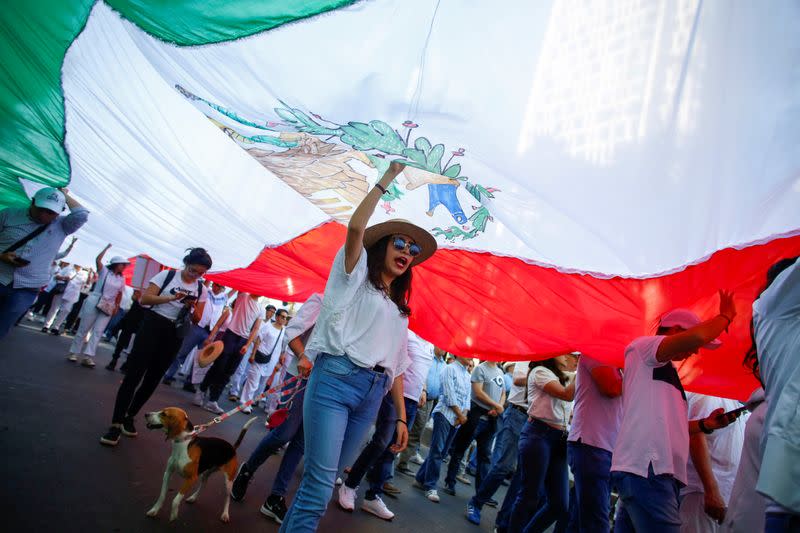 Demonstrators are seen under a large Mexico's flag during a march to protest against violence on the first anniversary of President Andres Manuel Lopez Obrador taking office, in Mexico City