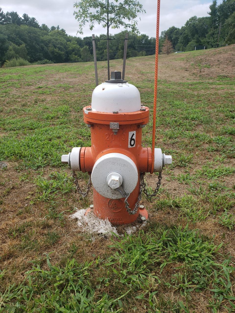 A current, unpainted fire hydrant in the Franklin area.
