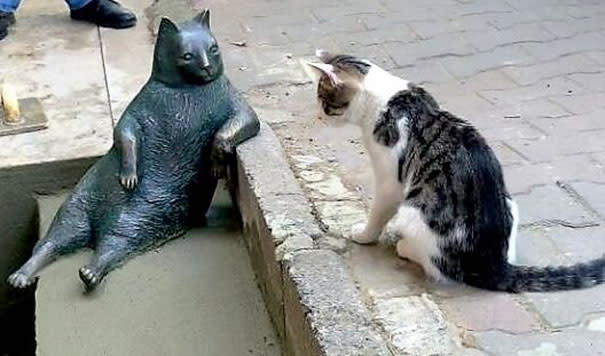 Al ser a tamaño real, la escultura llamó la atención de otros gatos, que se acercaron para contemplar al felino inmortalizado.