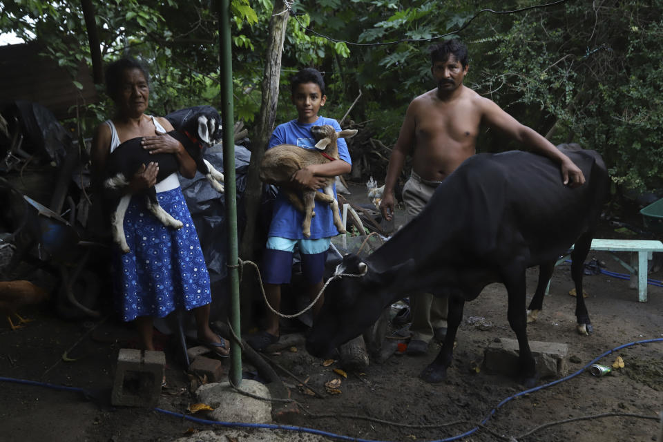 Ines Flamenco, from left, her grandson Daniel, and her son Mauricio Flamenco, pose for a photo with their farm animals on their land in Los Angelitos, El Salvador, Wednesday, Aug. 4, 2021. Flamenco is one of a group of landslide survivors who returned the home in a middle-class residential community given to her by the government. "The house is beautiful, but I feel depressed, it is not for me. I want to ask the government if they could look for a place in the countryside," she said. (AP Photo/Salvador Melendez)