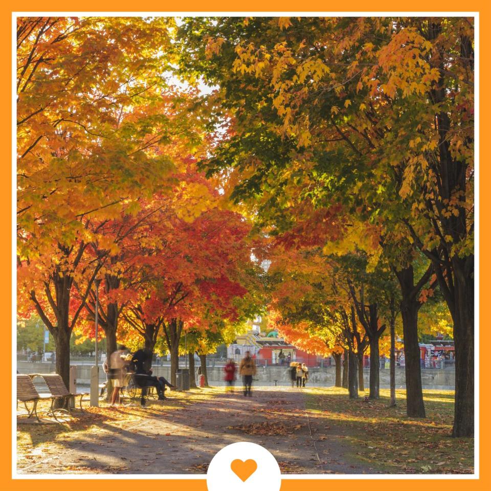 Take advantage of the beautiful weather with a picnic.