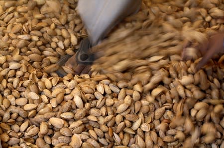 A labourer crushes raw almonds inside a small-scale factory unit in New Delhi