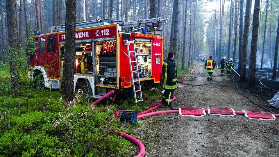 Brandenburg gilt als das am stärksten durch Waldbrand gefährdete Bundesland in Deutschland. Foto: Julian Stähle