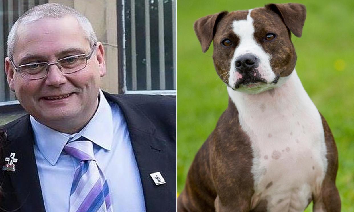 <span>David Daintree, who has been killed by his XL bully dog in Accrington, alongside an example of the banned breed.</span><span>Composite: PA</span>