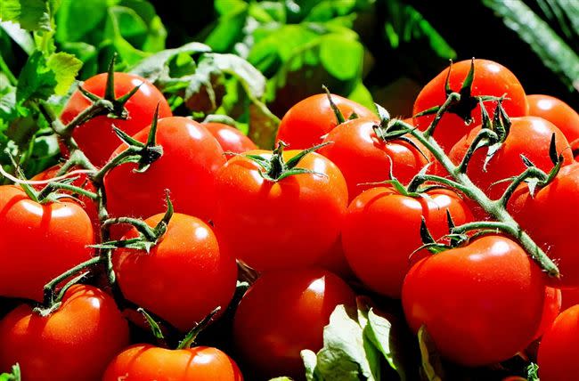 番茄是討厭排行第五，但它富含茄紅素，能抗癌、延緩老化。（圖／翻攝自pixabay）