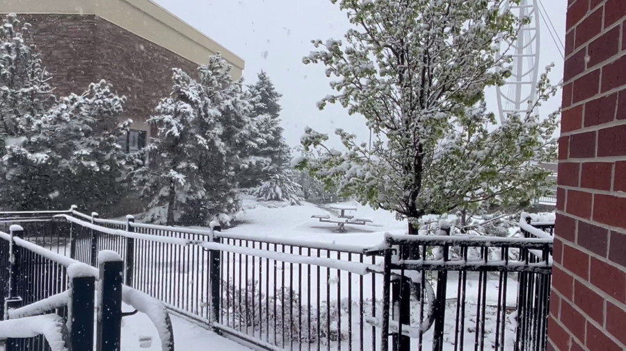 Snow accumulated in Lone Tree on April 27, 2024. (KDVR)