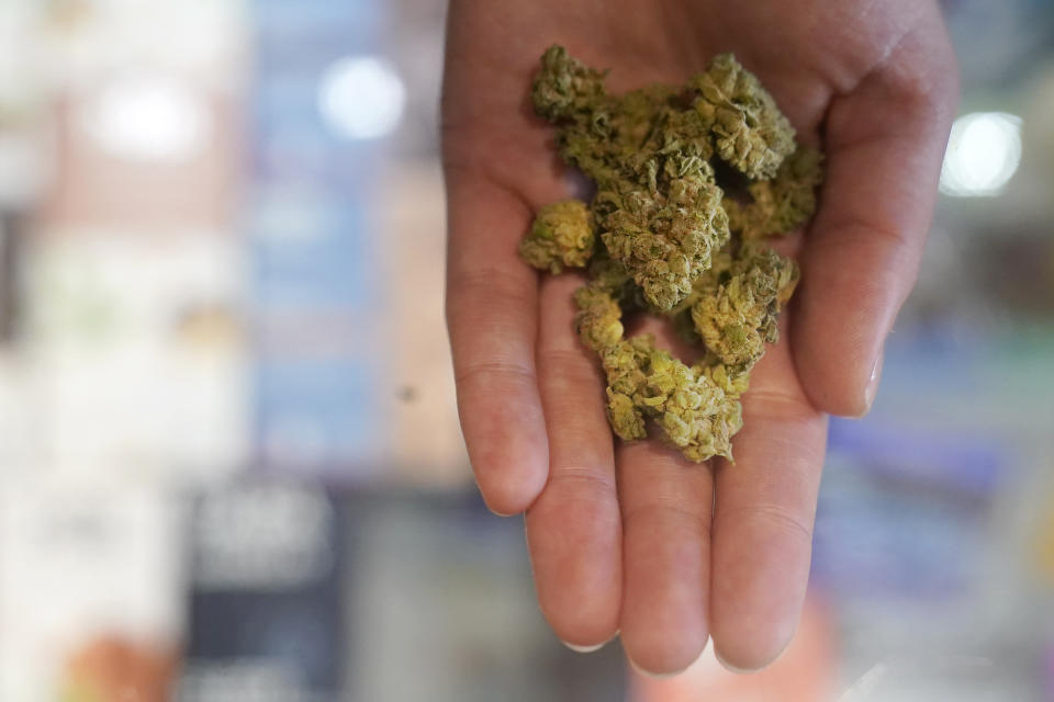 Budtender Taylor Altshule holds Cherry Pie marijuana at a California Street Cannabis Company location in San Francisco on March 20, 2023. Along the West Coast, which has dominated U.S. marijuana production from long before legalization, producers are struggling with what many call the failed economics of legal pot...a challenge inherent in regulating a product that remains illegal under federal law. (AP Photo/Jeff Chiu)