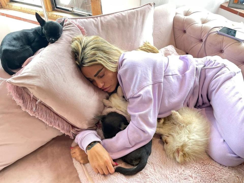 Katie Price pictured with more of her pets (Instagram)
