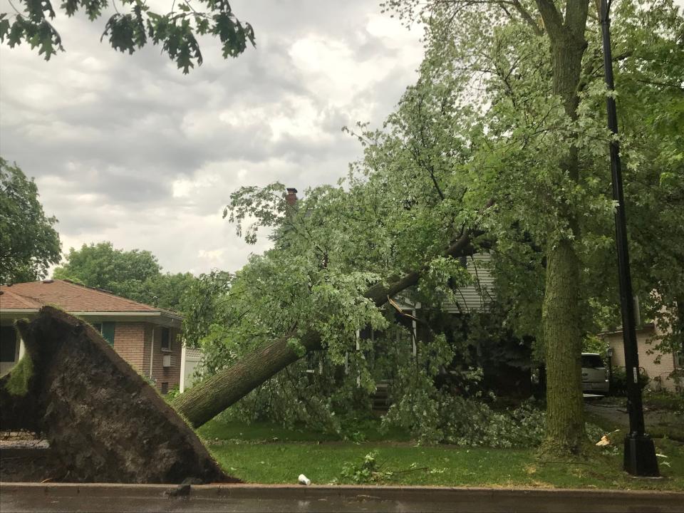 This scene of a toppled tree in Grosse Pointe Farms repeated itself over and over across southeast Michigan on Wednesday night. (Photo by Cristina Hall.)