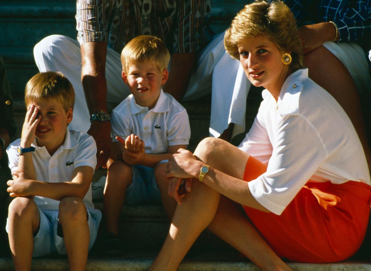 Prince William, Prince Harry and their mother Princess Diana, pictured in  1988 (Rex Features)