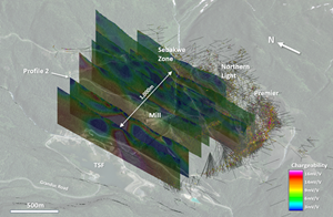 Northeast looking 3D view of IP cross sections stepping out west from the Sebakwe Zone