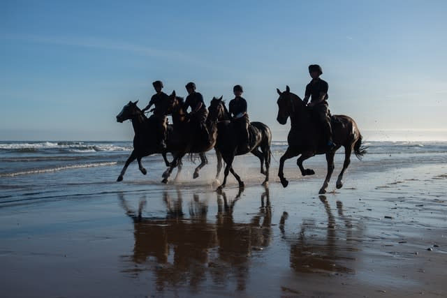 The King’s Troop Royal Horse Artillery in Norfolk