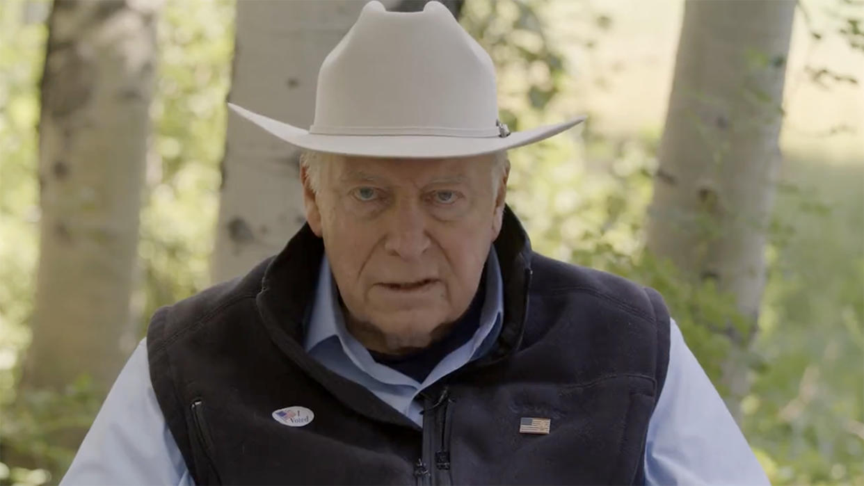 Former Vice President Dick Cheney is seen in a campaign ad for his daughter Liz Cheney. 