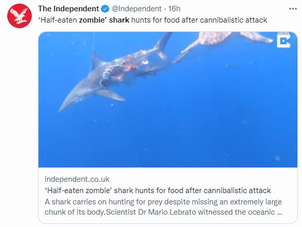 喪屍鯊的身影在網路上掀起熱議。（圖／翻攝自@Independent推特）