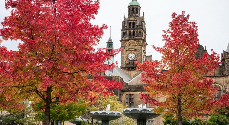 Sheffield, South Yorkshire (Getty)