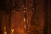 COLO HEIGHTS, AUSTRALIA - NOVEMBER 15: A bushfire is seen along Putty Road on November 15, 2019 in Colo Heights, Australia. The warning has been issued for a 80,000-hectare blaze at Gospers Mountain, which is burning in the direction of Colo Heights. An estimated million hectares of land has been burned by bushfire across Australia following catastrophic fire conditions - the highest possible level of bushfire danger - in the past week. A state of emergency was declared by NSW Premier Gladys Berejiklian on Monday 11 November and is still in effect, giving emergency powers to Rural Fire Service Commissioner Shane Fitzsimmons and prohibiting fires across the state. Four people have died following the bushfires in NSW this week. (Photo by Brett Hemmings/Getty Images)